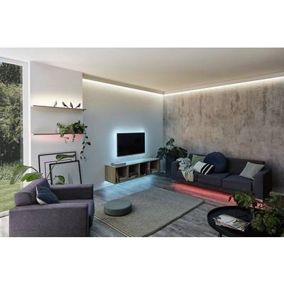 Un salon élégant avec des luminaires LED modernes, un canapé gris, un fauteuil, une télévision et des plantes ; une atmosphère décontractée.