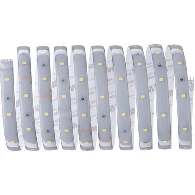 Dix bandes LED flexibles en gris avec des éclairages jaunes, disposées côte à côte, montrent le devant et l'arrière des bandes.