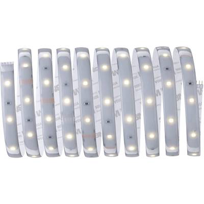 'Bande de LED avec des LED lumineuses réparties uniformément sur un fond blanc.'