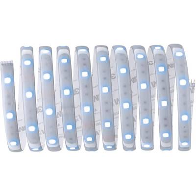 Bande lumineuse LED en blanc et bleu, disposée en spirale.