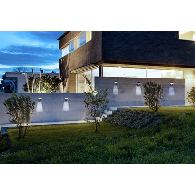 Une maison moderne au crépuscule avec un éclairage extérieur illuminant le mur de béton. Des marches mènent à travers le jardin soigné.