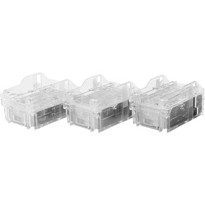 Trois contenants transparents en plastique sont alignés côte à côte, chacun muni d'une poignée et d'un couvercle fermé. Des étiquettes sont présentes sur la gauche.