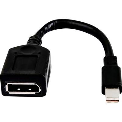 Un adaptateur noir de DisplayPort vers Mini DisplayPort, servant à connecter des appareils avec des ports différents.
