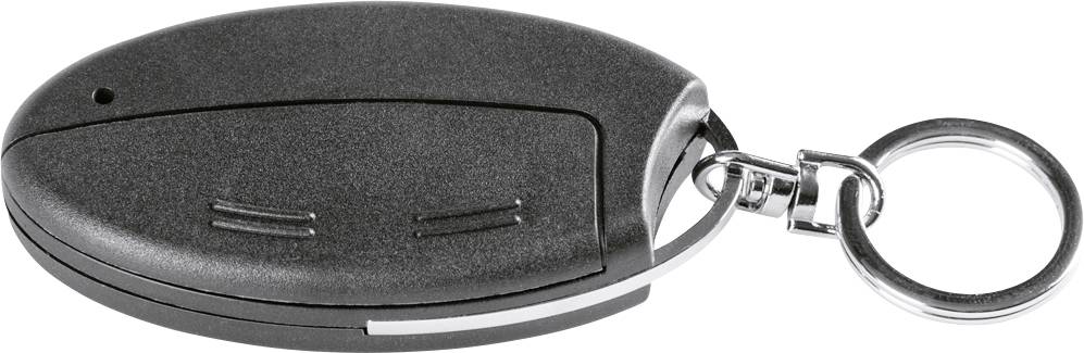 Un porte-clés noir ovale avec deux touches et un anneau de clé argenté.