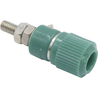 Un connecteur cylindrique en plastique vert avec un filetage métallique et une vis. Fréquemment utilisé dans les applications électriques.