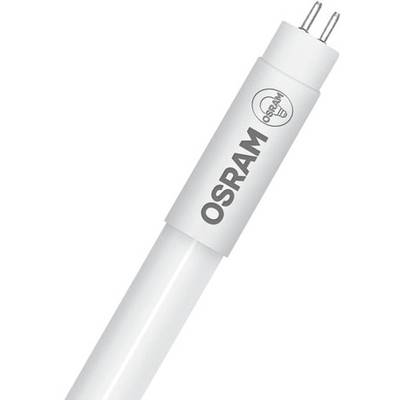Tube fluorescent LED OSRAM en blanc, forme cylindrique, à double extrémité, adapté à l'éclairage général.