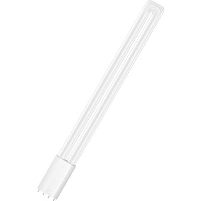 Une lampe économique blanche en forme de U, à quatre broches à sa base, utilisée pour l'éclairage intérieur.