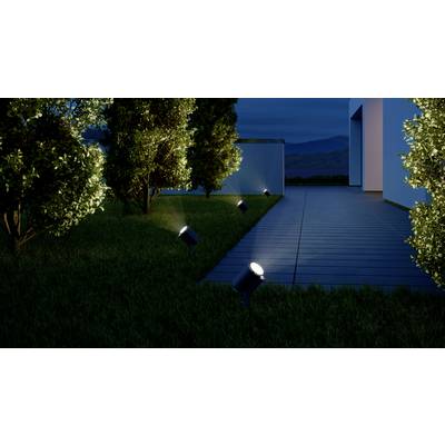 Plusieurs projecteurs illuminent un jardin soigné la nuit, à côté d'une terrasse avec des arbres doucement éclairés.
