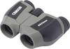 Carson Optical Jumelles 8 x 22 mm à prisme de Porro gris JD-822