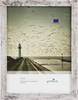 Goldbuch 92 0496 Cadre photo amovible Format du papier: DIN A4 (l x H x P) 32.8 x 24 x 1.5 cm