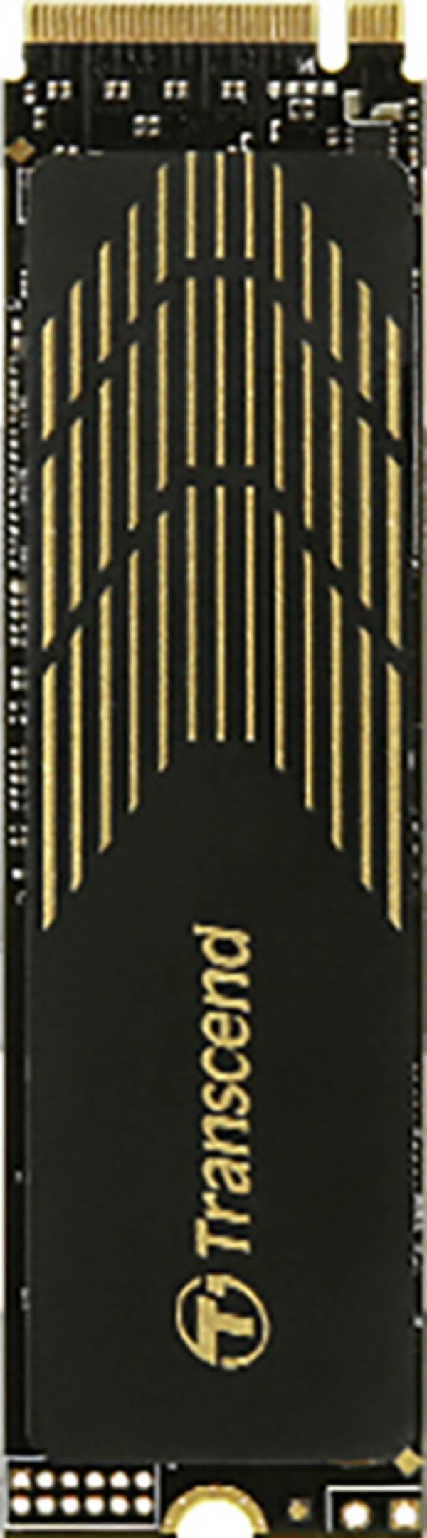 Transcend 240S 1 TB SSD interne PCIe x4 NVMe PCIe NVMe 4.0 x4 au détail TS1TMTE240S