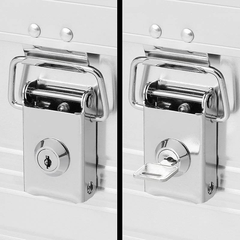 Caisse de transport Robust 19806 aluminium-1