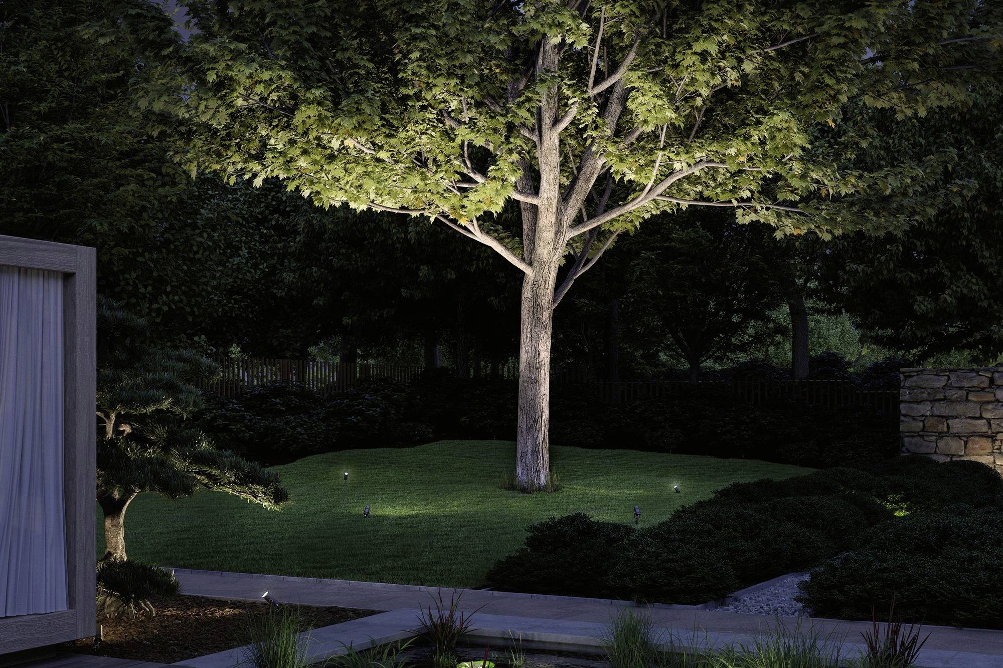 Un grand arbre occupe le centre d'un jardin nocturne, illuminé par des projecteurs au sol et entouré de pelouse soignée et de buissons.