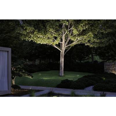 Un grand arbre occupe le centre d'un jardin nocturne, illuminé par des projecteurs au sol et entouré de pelouse soignée et de buissons.