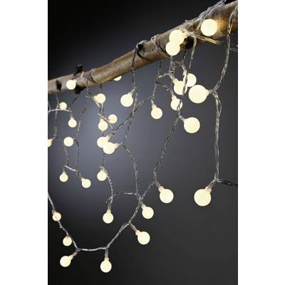 Une guirlande lumineuse avec des lumières rondes blanc chaud est enroulée autour d'une branche et brille sur un fond sombre.