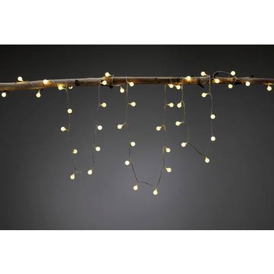Une guirlande lumineuse avec des petites ampoules blanc chaud est suspendue à une branche devant un fond sombre. Elles créent une atmosphère chaleureuse et accueillante.