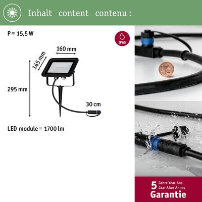 Projecteur 'Fluter' avec une puissance de 15,5 W et une luminosité de 1700 lm, dimensions 295 x 160 mm. Classe de protection IP65 et garantie de 5 ans indiquée.