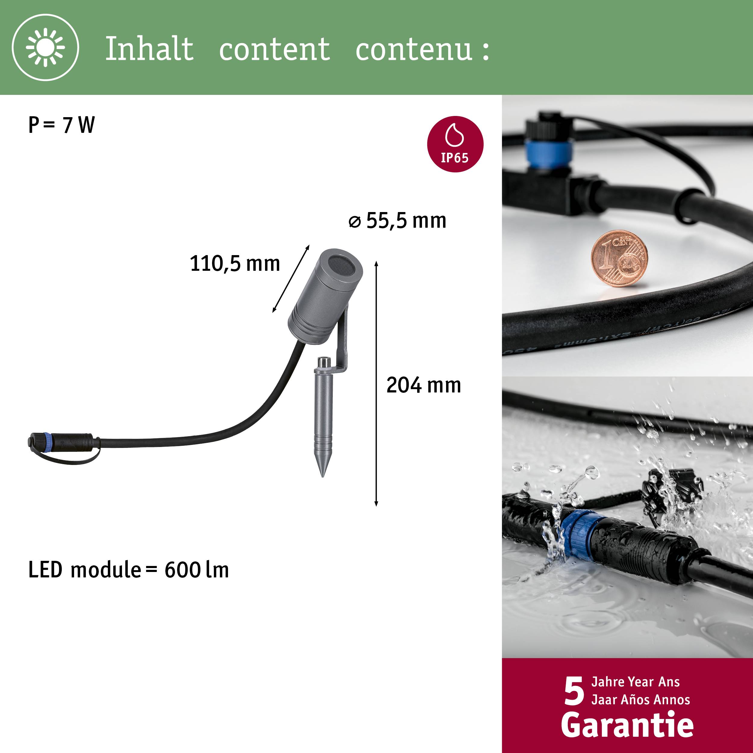 'Module LED de 600 lm, IP65. Dimensions : 204 mm de hauteur, diamètre 55,5 mm. Image du produit avec mention de garantie : 5 ans de garantie.'