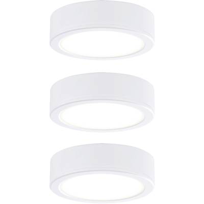 Paulmann PAULMANN Luminaire LED pour montage en surface  LED LED intégrée 9 W  blanc chaud blanc