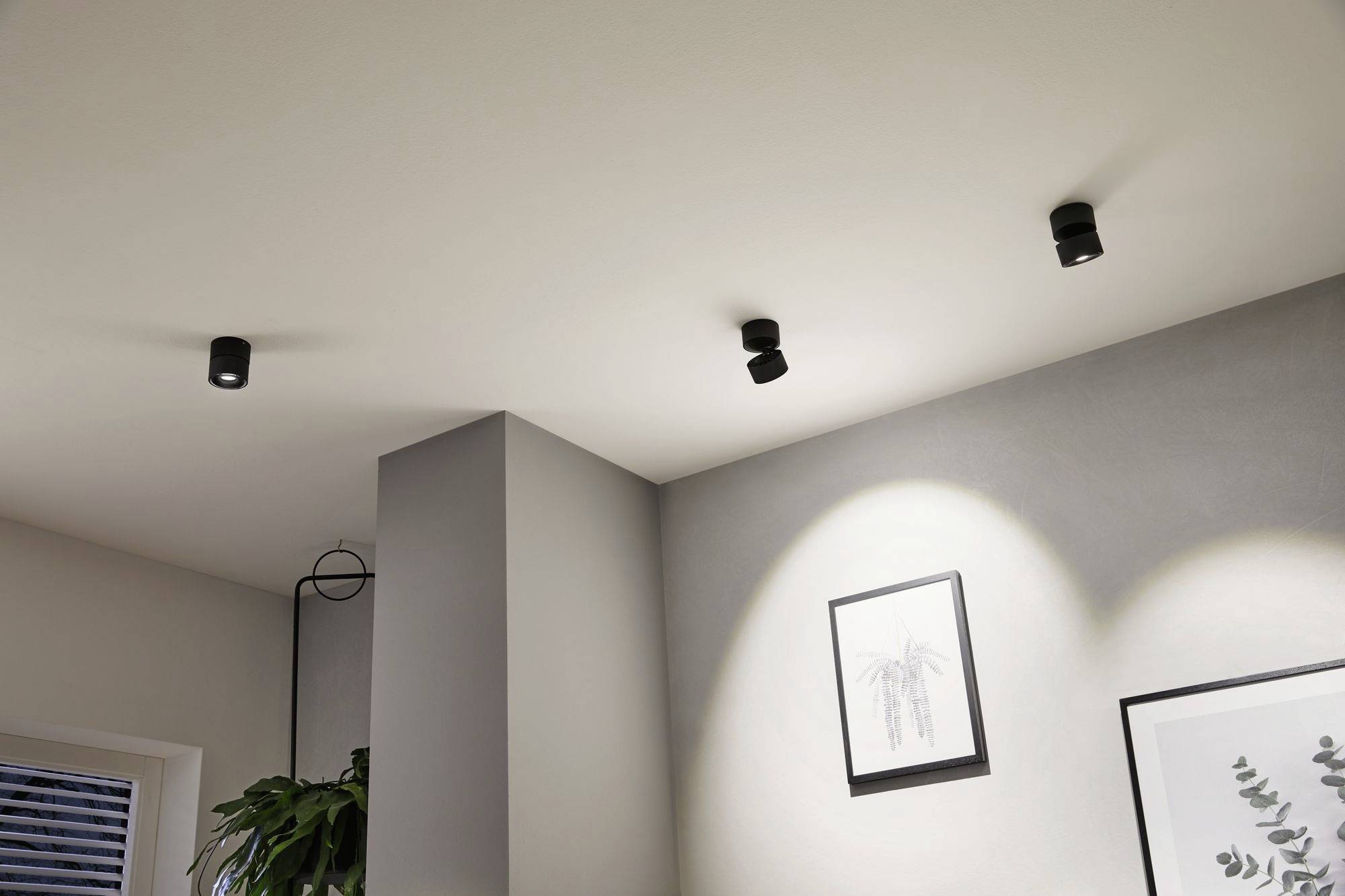 Trois projecteurs noirs au plafond éclairent une pièce aux murs clairs. Deux tableaux encadrés sont accrochés au mur. Une plante est placée à gauche.