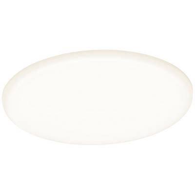 Une assiette ovale blanche au bord lisse, présentée sur un fond uni.