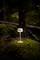 Une petite lampe est posée sur un rocher couvert de mousse dans la forêt, illuminée et entourée d'arbres.