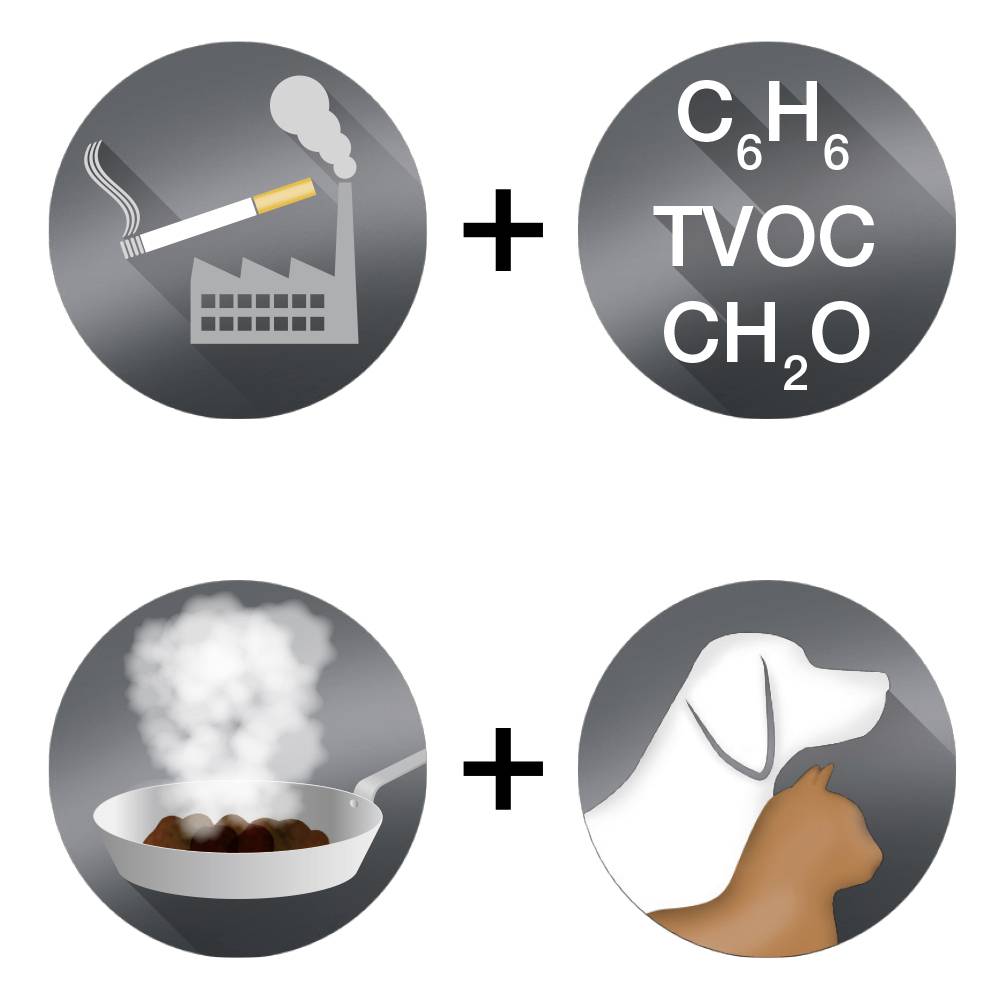 En haut, un pictogramme représente de la fumée d'usine et des formules chimiques. En bas sont représentés une poêle fumante et deux profils d'animaux.