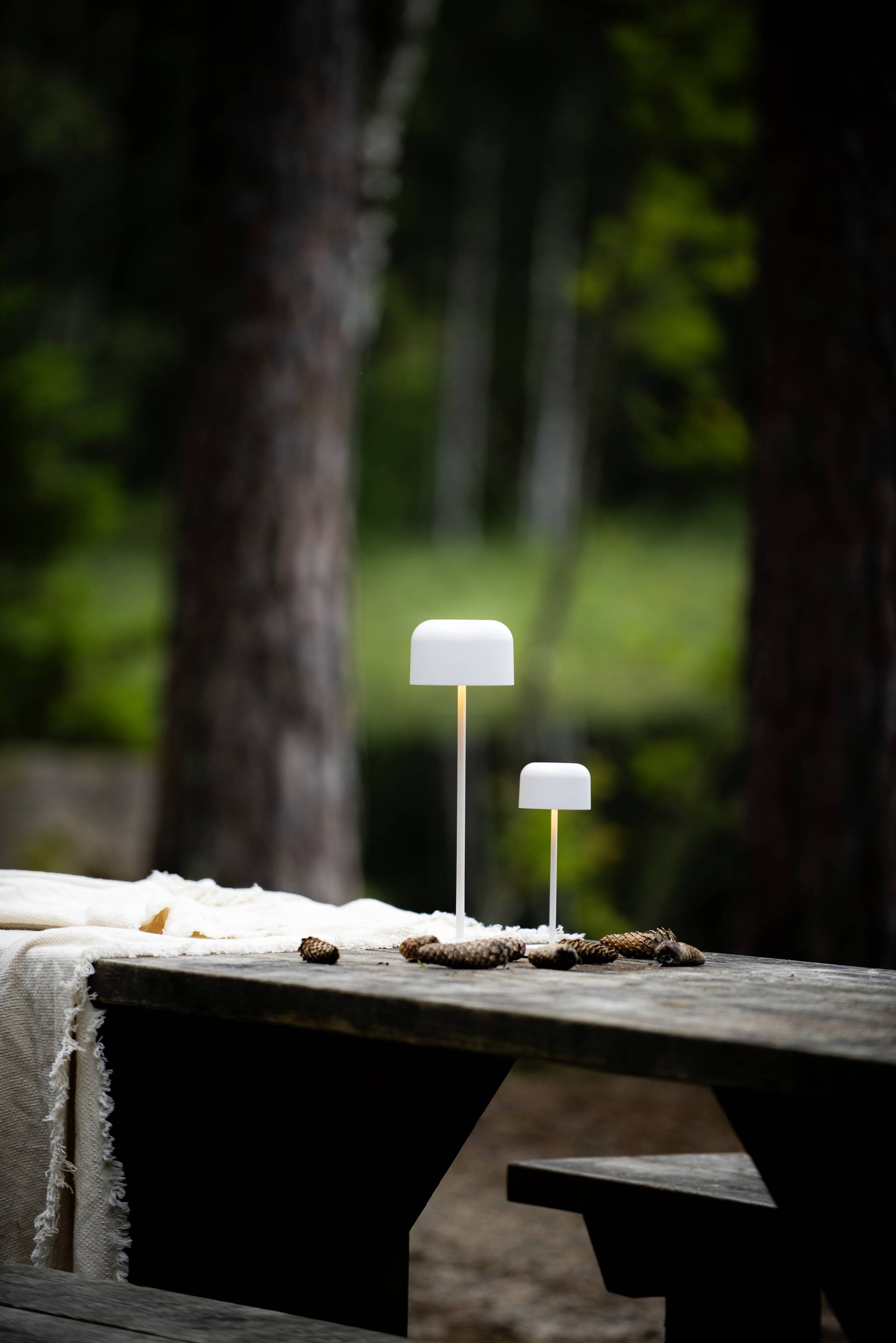 Deux petites lampes blanches sont posées sur une table de pique-nique en bois à l'extérieur, entourées d'un fond forestier.