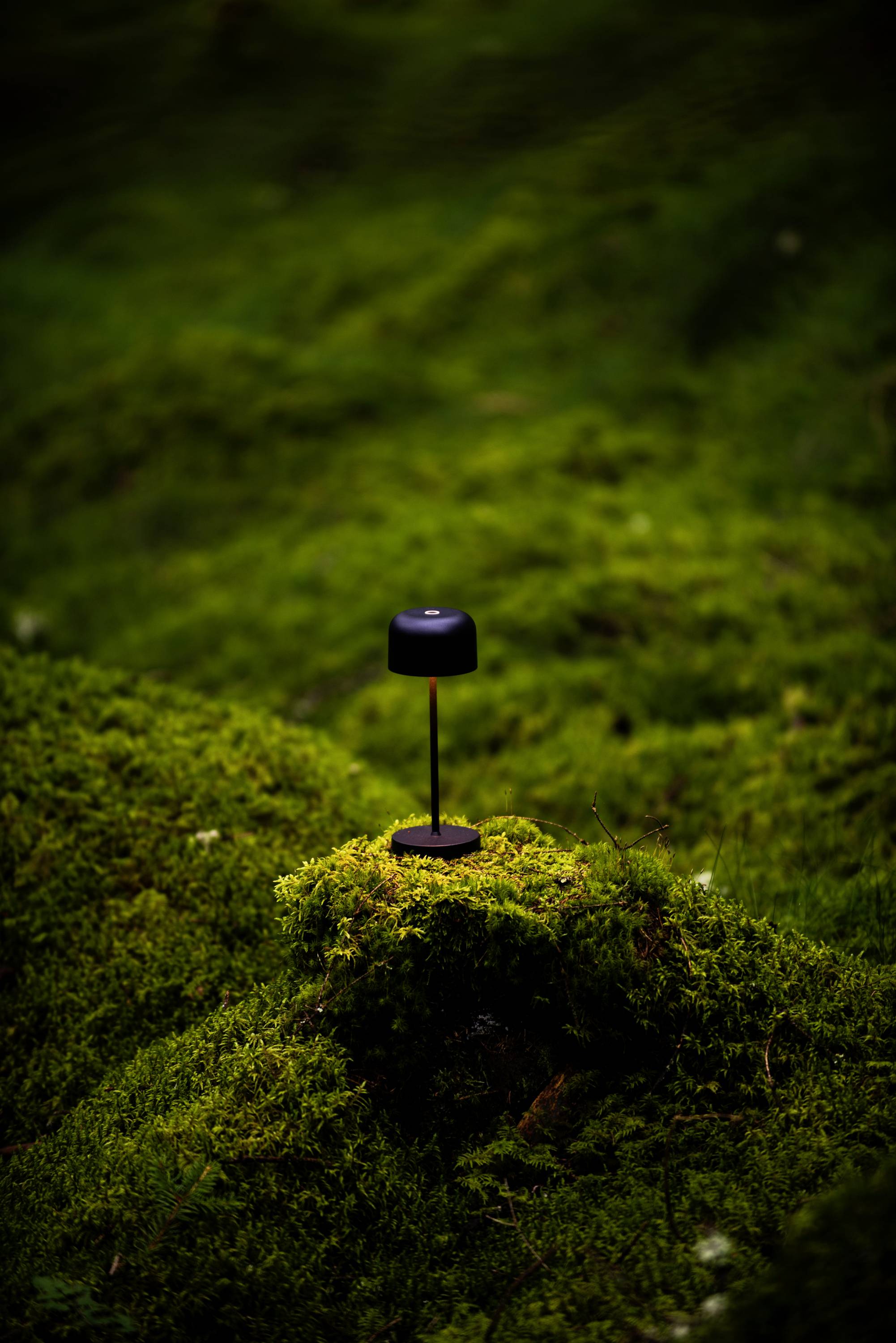 Une petite lampe noire est posée sur une colline verte recouverte de mousse. Un arrière-plan forestier sombre et apaisant.