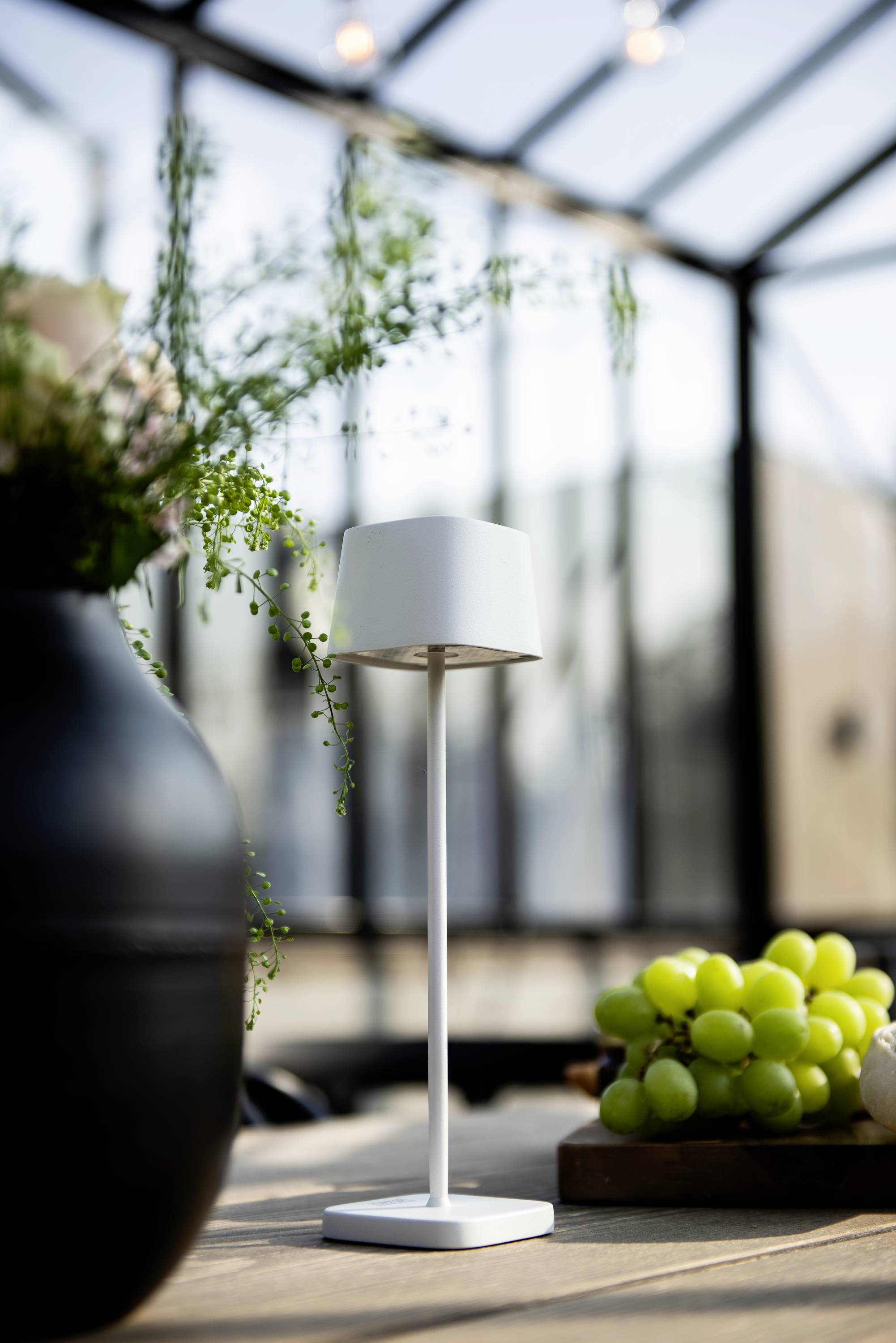 Une lampe de table blanche est posée sur une table en bois dans une pièce ensoleillée. À côté se trouvent des raisins verts et un vase noir contenant des plantes.