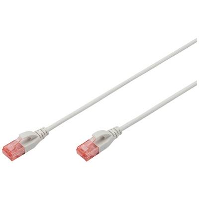 Un câble Ethernet blanc avec des connecteurs rouges à chaque extrémité est posé sur un fond blanc.