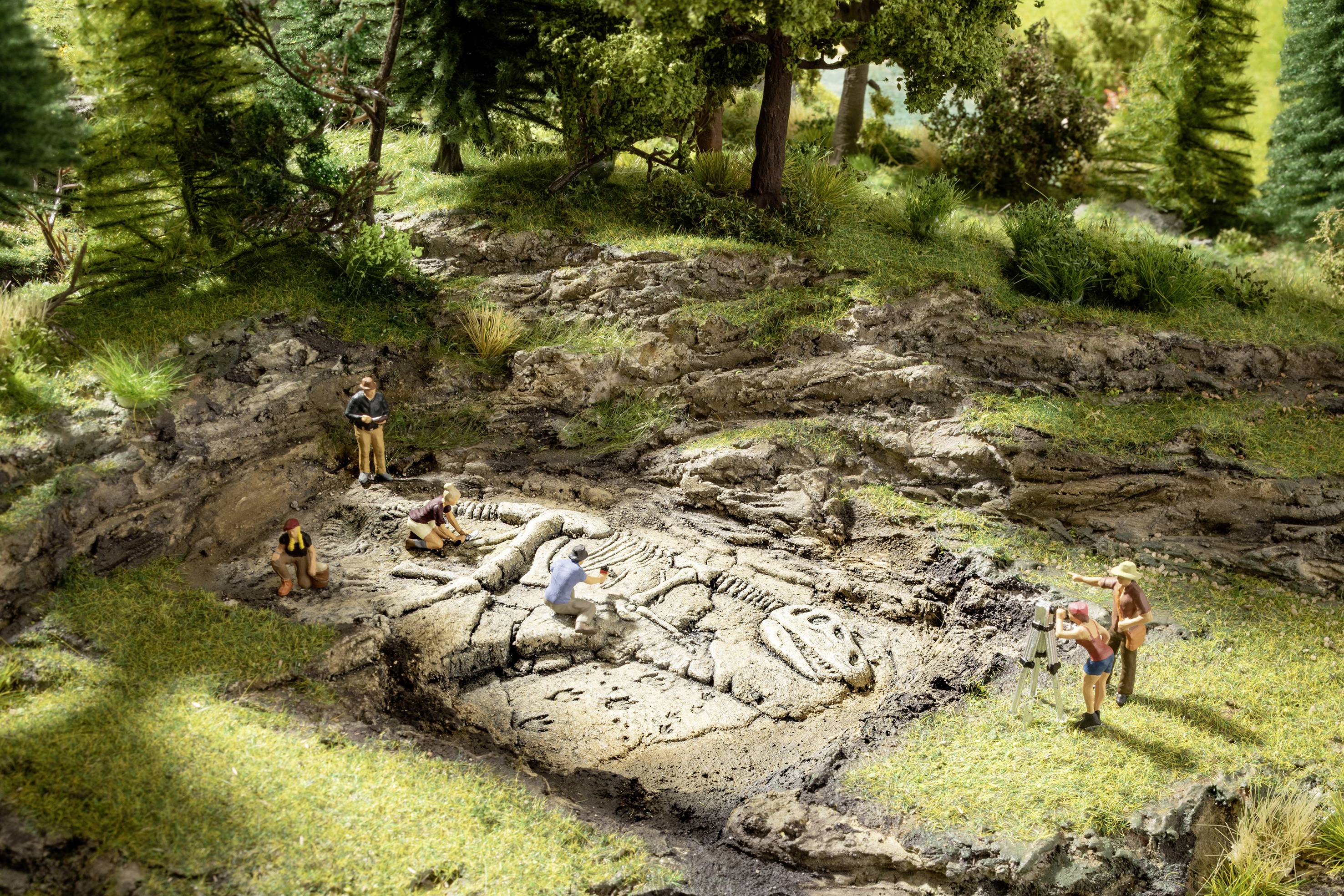 Fouille archéologique en clairière : Plusieurs personnes travaillent sur un squelette de dinosaure mis à jour dans une fosse sablonneuse.