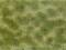 Une surface d'herbe verte et jaune avec des motifs irréguliers, probablement dans un pré ou un champ.