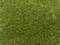 Surface d'herbe dense et verte avec une structure uniforme.