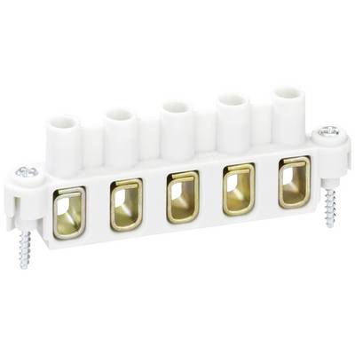 Barrette électrique de connexion à cinq emplacements avec vis latérales de fixation, principalement en blanc.
