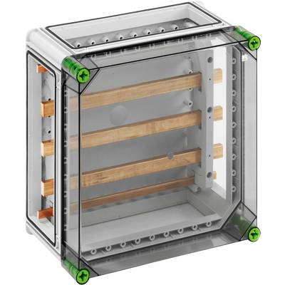 Spelsberg 04025401 GSi 254 Armoire de distribution montage apparent (en saillie) Contenu 1 pc(s)-0