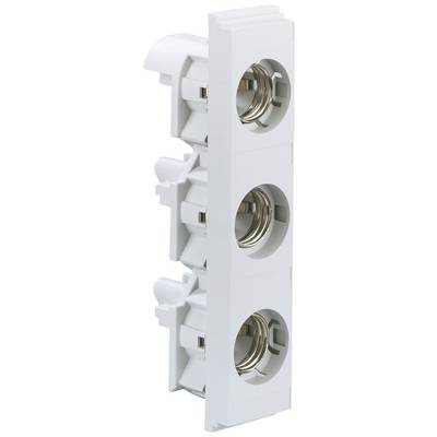 Support de fusible blanc triple avec contacts argentés, disposition verticale, adapté aux applications électriques.
