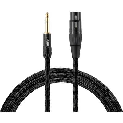 Un câble audio noir avec une fiche jack sur le côté gauche et une fiche XLR sur le côté droit.
