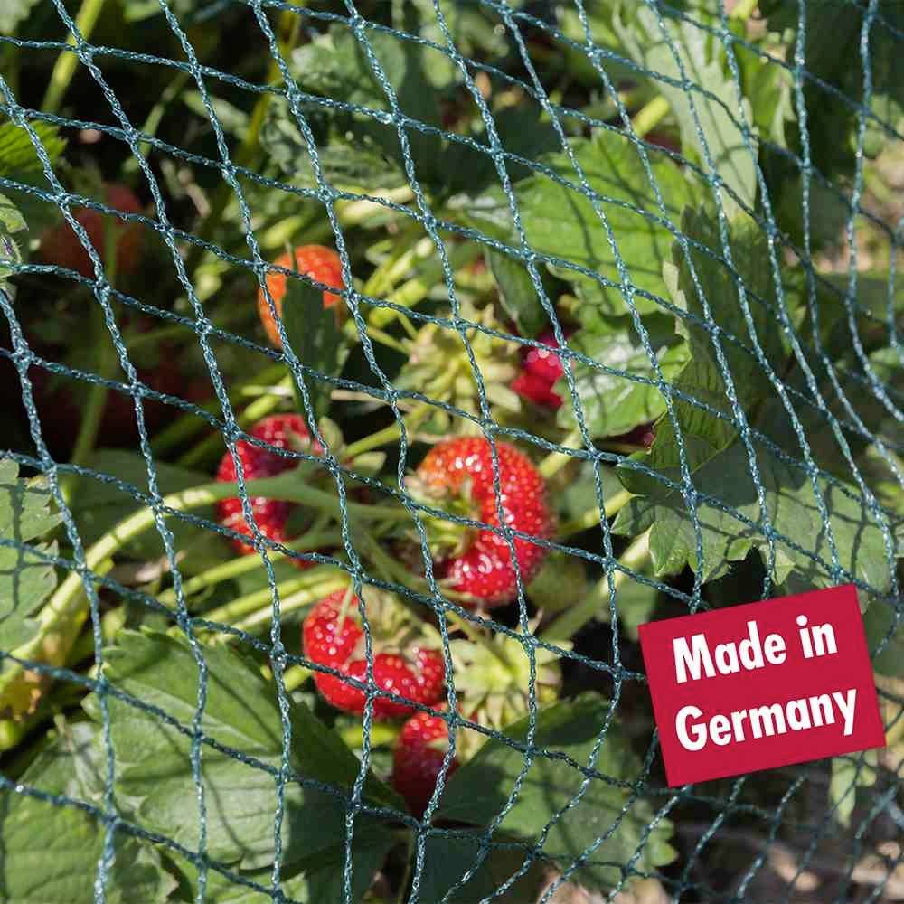 Plants de fraises avec des fruits mûrs et rouges sous un filet vert qui les protège. Panneau rouge portant l'inscription 'Made in Germany'.