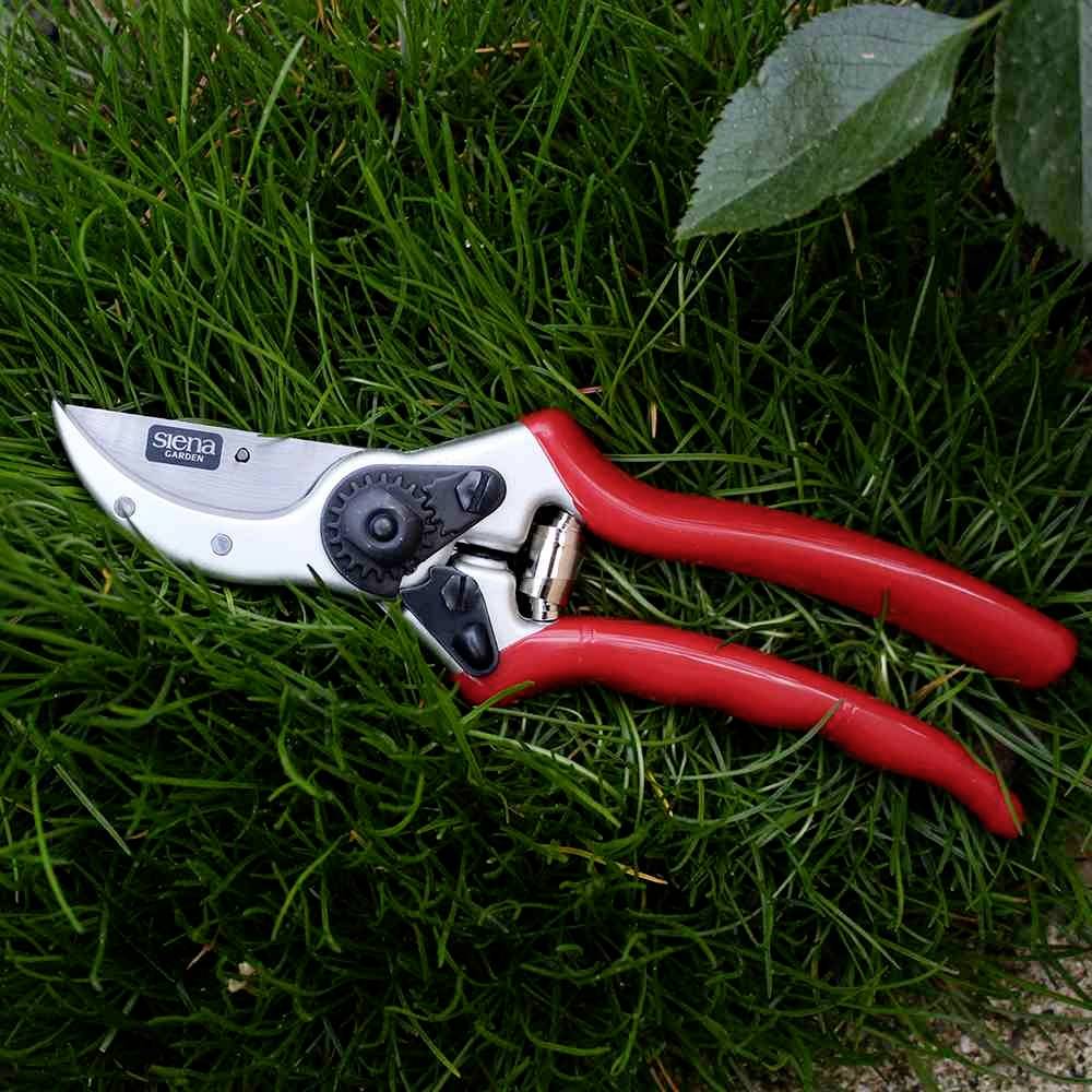 Un sécateur rouge repose dans l'herbe verte à côté d'une feuille, avec la mise au point sur le sécateur comme objet principal.