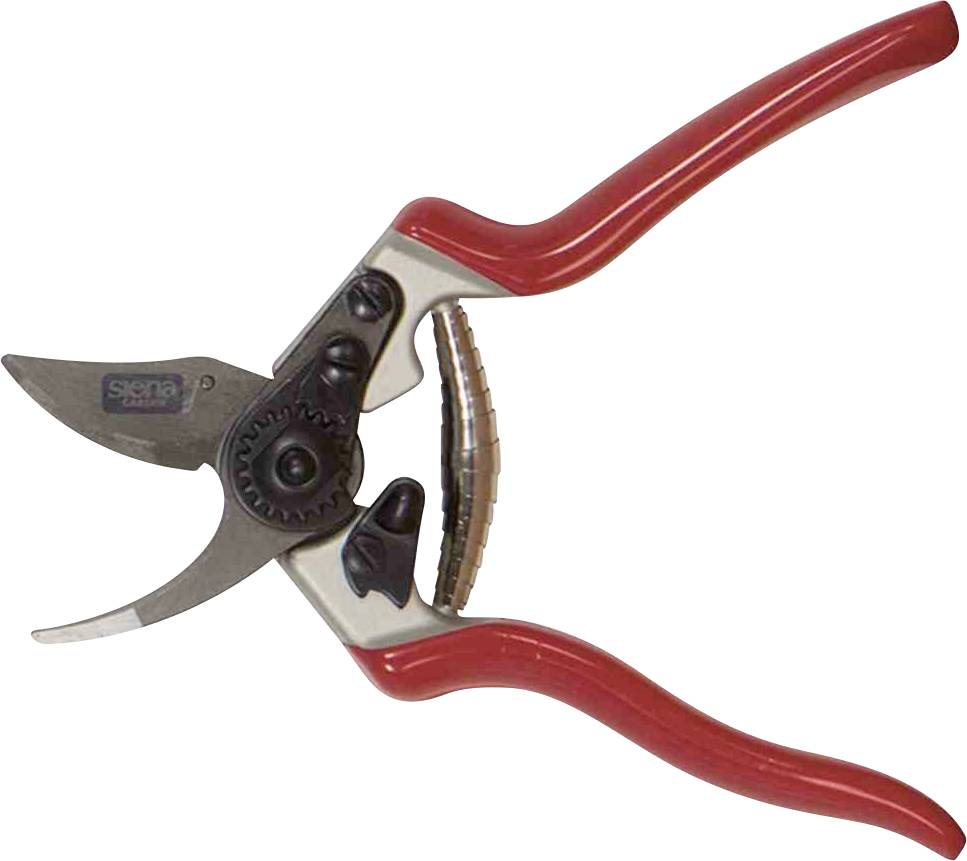 Sécateur rouge avec des poignées incurvées et des lames tranchantes, utilisé pour couper les branches de plantes et entretenir le jardin.