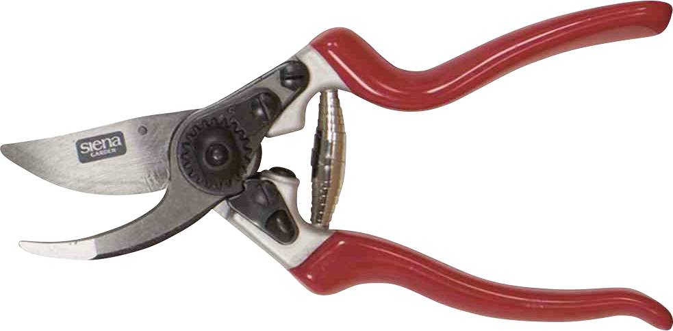 Sécateur rouge avec lame tranchante et poignées ergonomiques, adapté à la coupe de branches et de plantes.