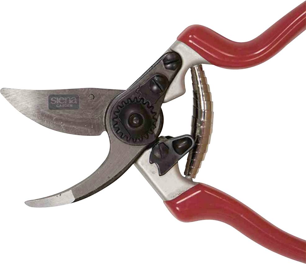 Sécateur en métal rouge avec poignée incurvée, adapté pour couper des plantes et des arbustes.