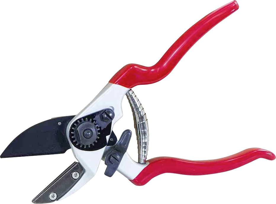 Sécateur rouge avec des lames noires, adapté pour la coupe de plantes et de branches dans le jardin.