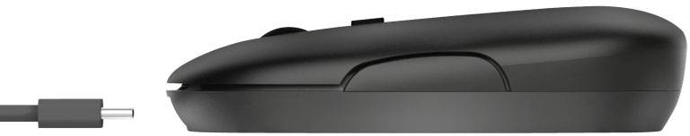 Une souris d'ordinateur noire et un câble USB-C séparé sont alignés horizontalement côte à côte.