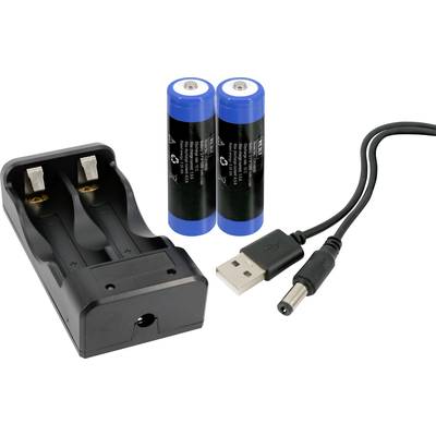 Chargeur de batterie avec deux batteries bleues et un câble de charge USB.