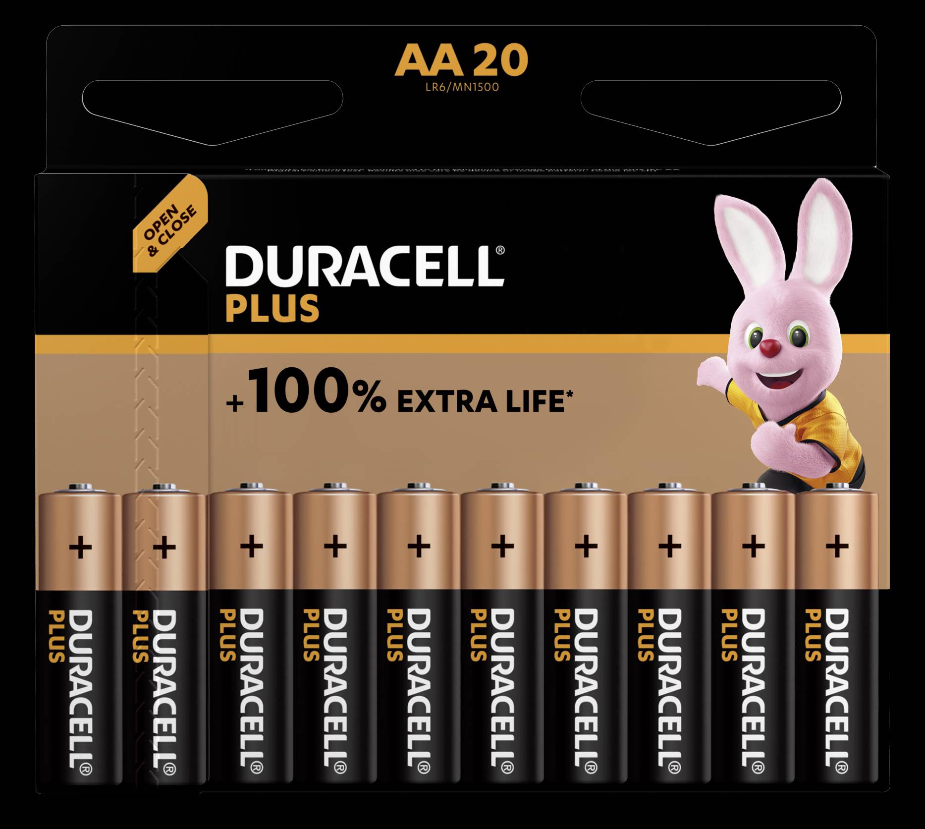 Duracell Plus-AA CP20 Pile LR6 (AA) alcaline(s) 1.5 V 20 pc(s)