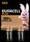Deux piles AAA Duracell Plus dans un emballage. Un lapin rose est représenté à droite. Texte : « +100 % de durée de vie supplémentaire ».