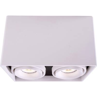 Un plafonnier rectangulaire blanc équipé de deux projecteurs LED ronds intégrés. Adapté aux espaces intérieurs modernes.