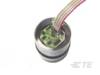 TE Connectivity Capteur 1 pc(s) TE TCS Stainless ISO mV